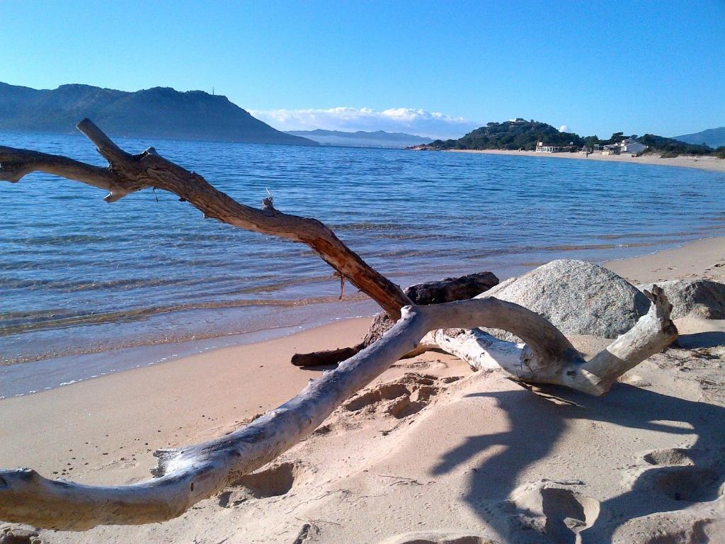 Domaine De Caranella Hotel Porto-Vecchio  Ruang foto